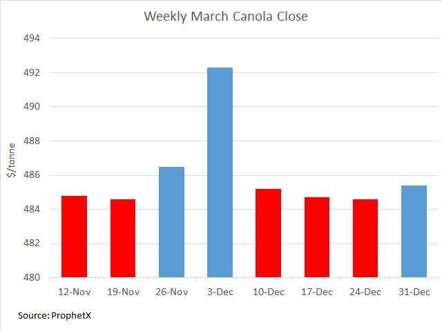 Over the past nine weeks, March canola has traded from a weekly low of $479.60/metric ton to a high of $496.30/mt, a $16.70/mt range. The contract has faced a weekly loss in five of the last eight weeks (red bars), while excluding the Dec. 3 weekly close of $492.30/mt, the weekly close has fallen into a narrow range between $484.60/mt and $486.50/mt. (DTN graphic by Cliff Jamieson)